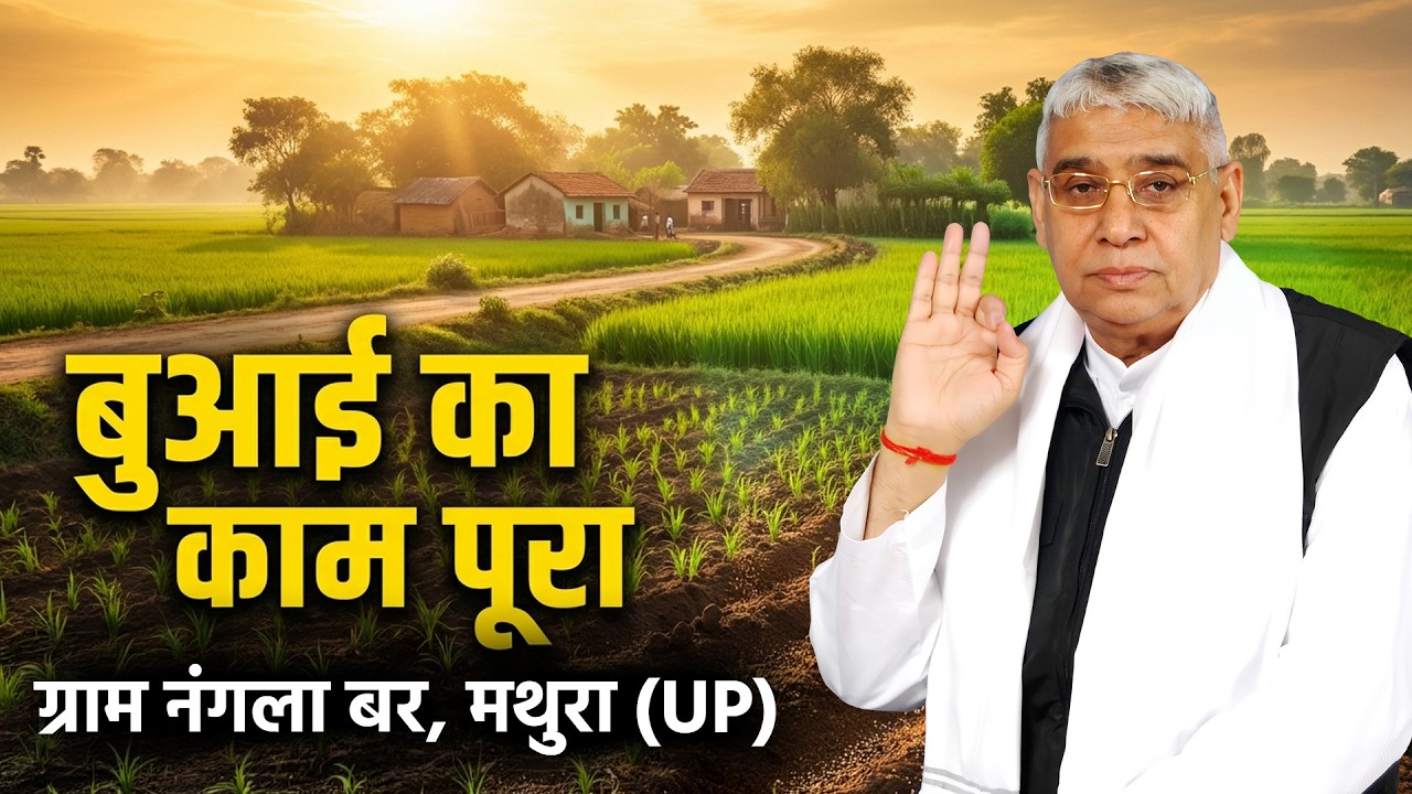 ग्राम नंगला बर, मथुरा (UP) में बाढ़ की तबाही के बाद, संत रामपाल जी के आशीर्वाद से बुआई का काम पूरा।
