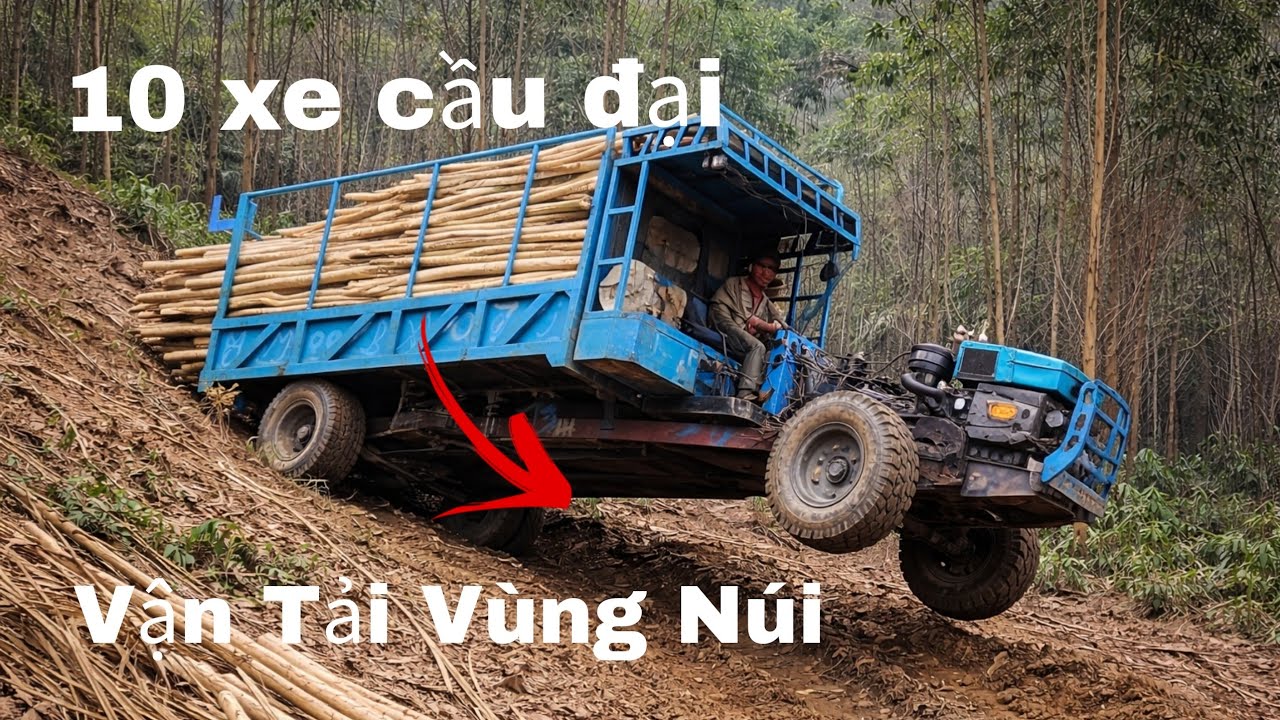 10 chiếc xe cầu đại  chở gỗ keo lên núi khói đen 