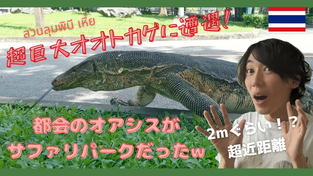【タイ・バンコク】超巨大トカゲに遭遇！ルンピニー公園に行ったら予想以上のサファリパークだった！