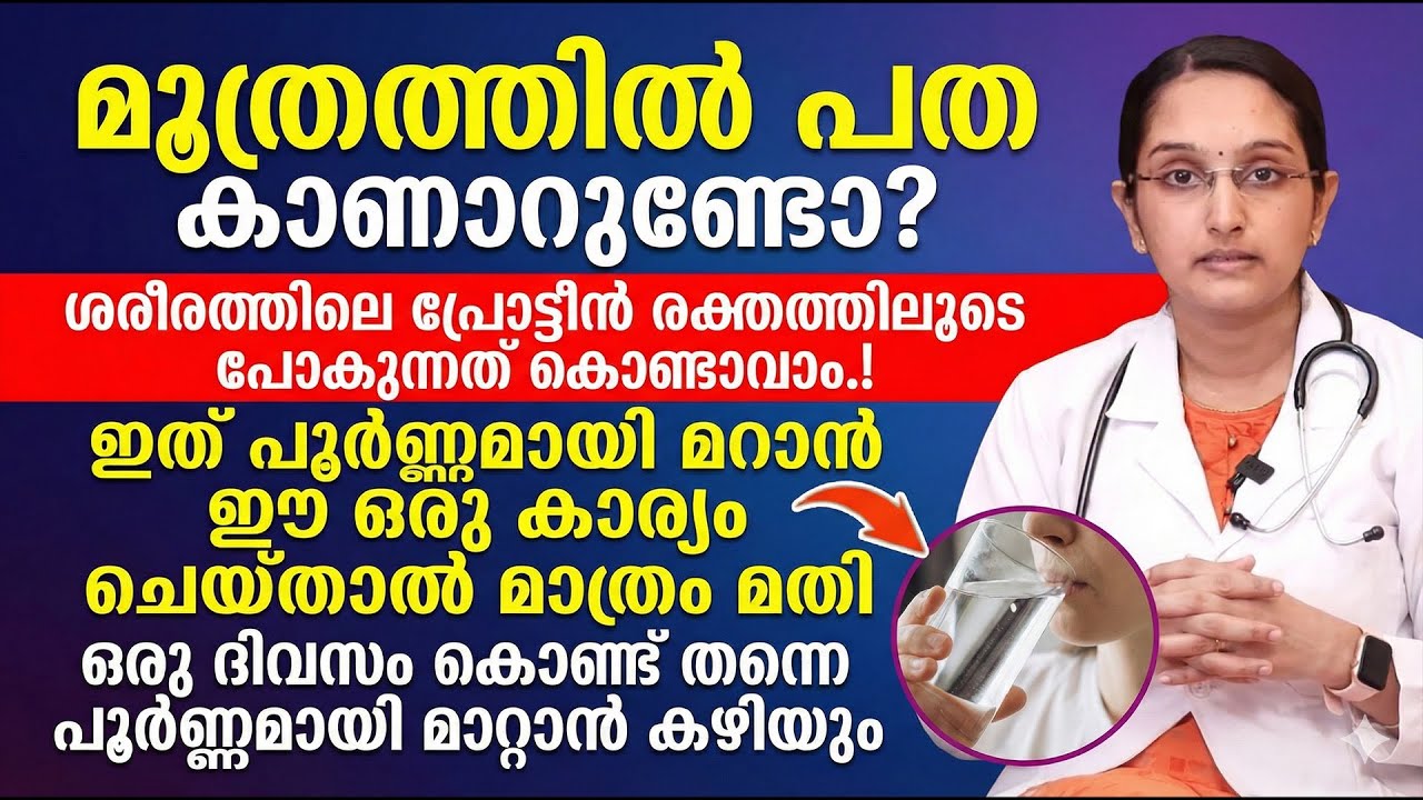മൂത്രത്തിൽ പത കാണാറുണ്ടോ ? ഇത് പൂർണ്ണമായി മാറാൻ ഈ ഒരു കാര്യം ചെയ്താൽ മാത്രം മതി | MOOTHRATHIL PATHA
