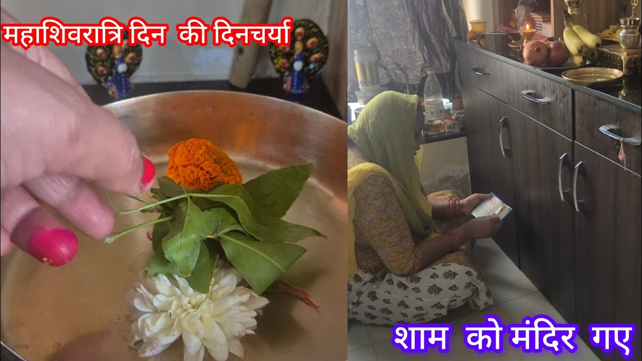 महाशिवरात्रि  का दिन मैने इस  तरह  से  रहा। 