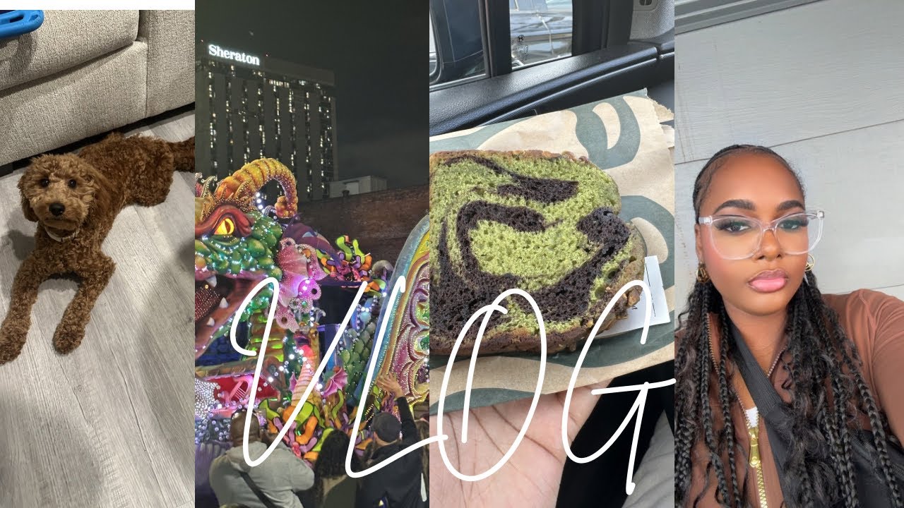 BIG LIFE UPDATE: New Job, New Puppy & Mardi Gras in NOLA!