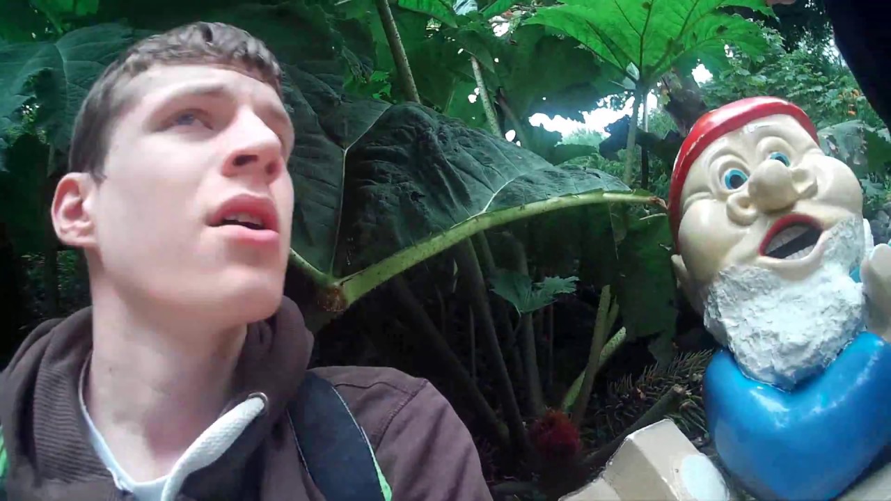 Blackgang Chine Vlog