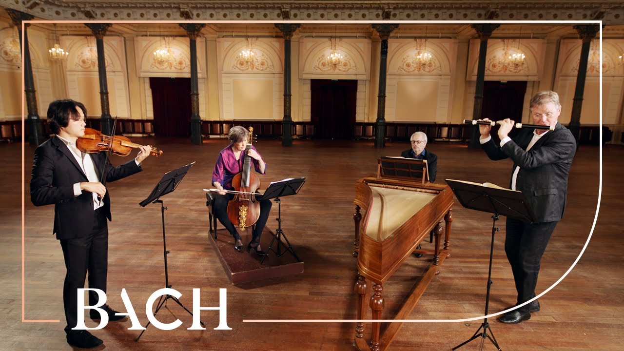 Bach - Trio Sonata from The Musical Offering BWV 1079 | Netherlands Bach Society