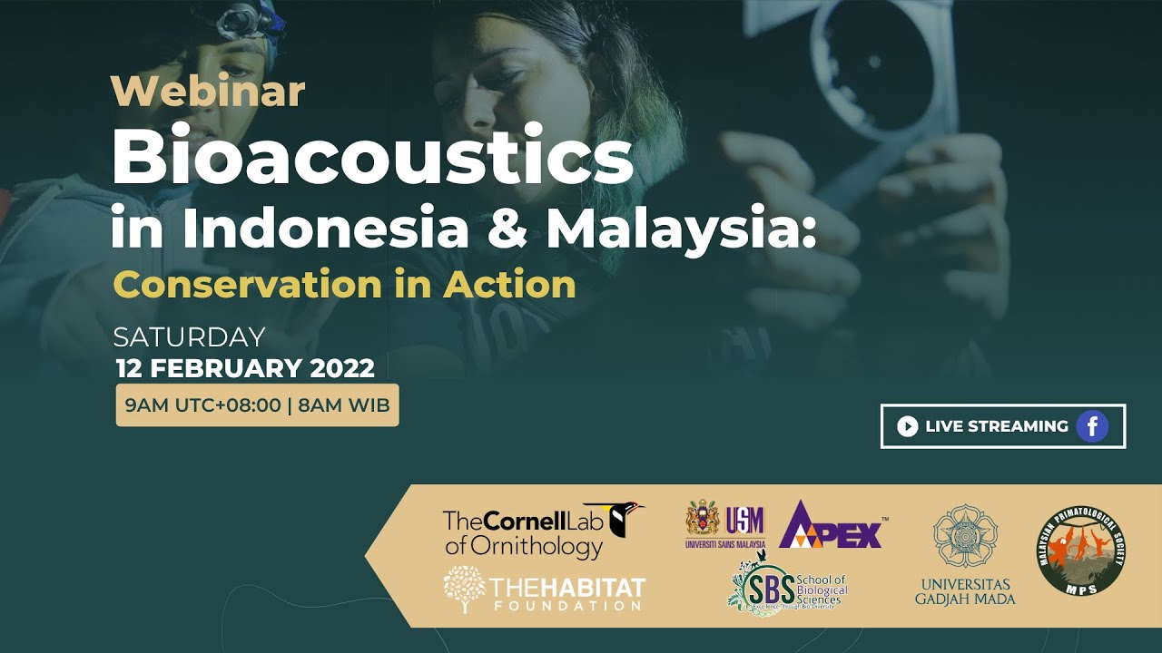Bioacoustics in Indonesia & Malaysia: Conservation in action