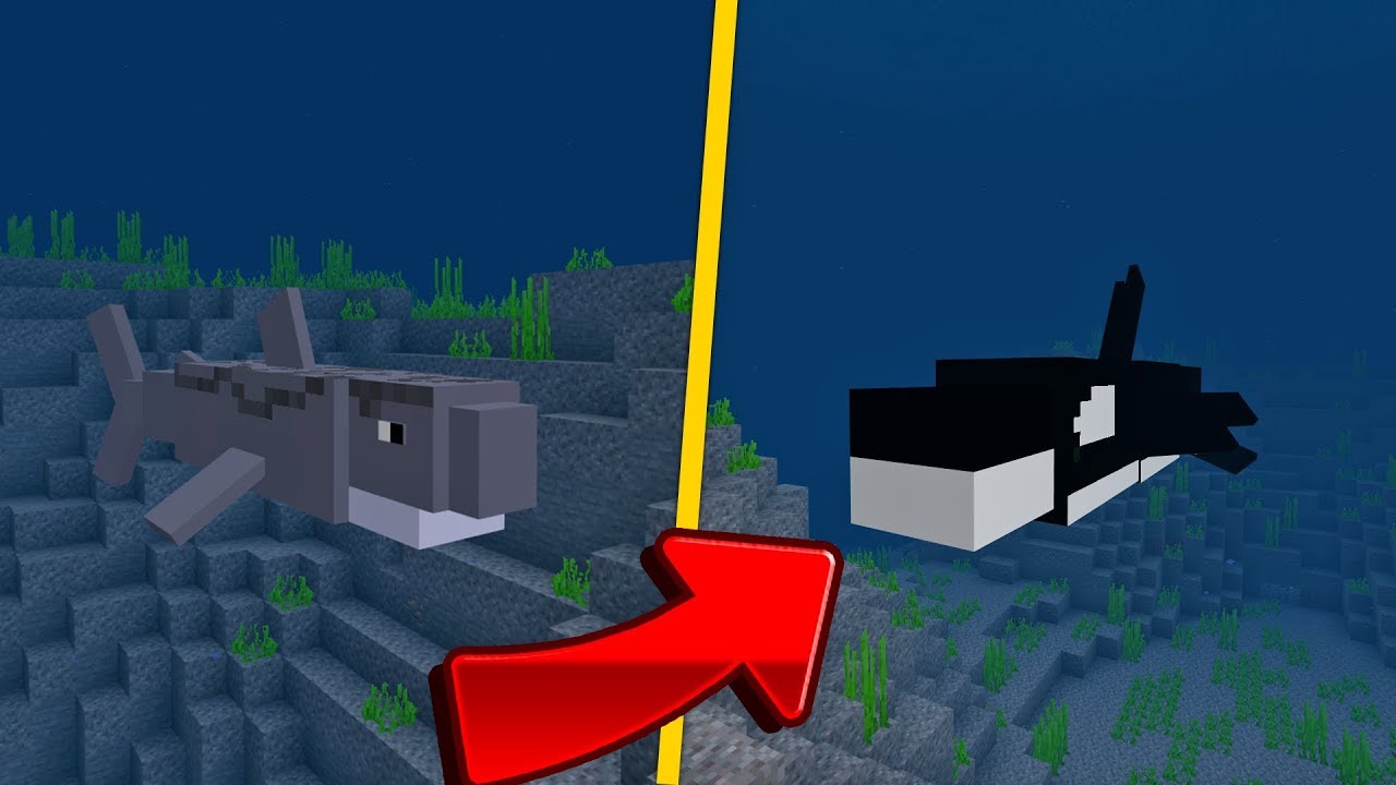 МЕГАЛОДОН И АКУЛА УЖЕ В MINECRAFT PE 1.13.0.6! МОД НА МОРСКИХ ОБИТАТЕЛЕЙ!