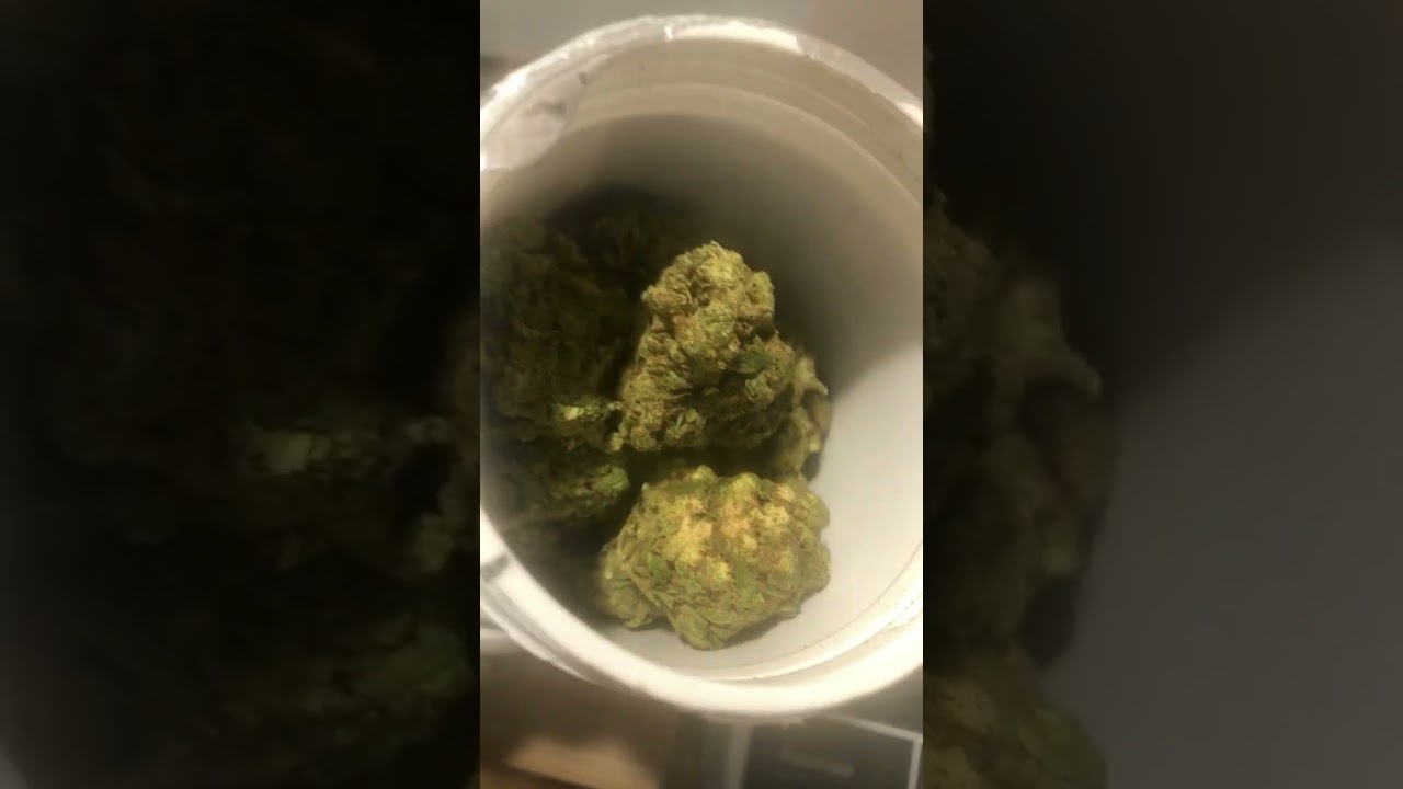 THC 23 Opal (White Widow) #herbalmedicine #ganja