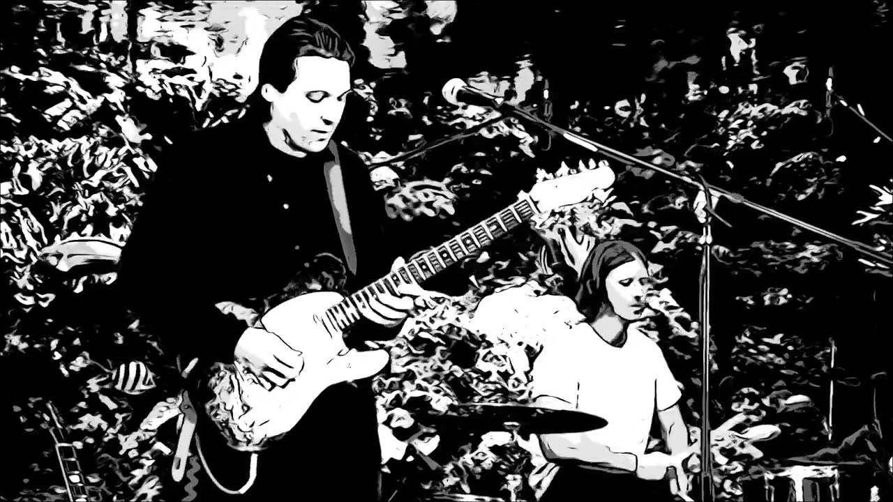 Vid Nelson - Stay 6 feet away - Live (Slowed)