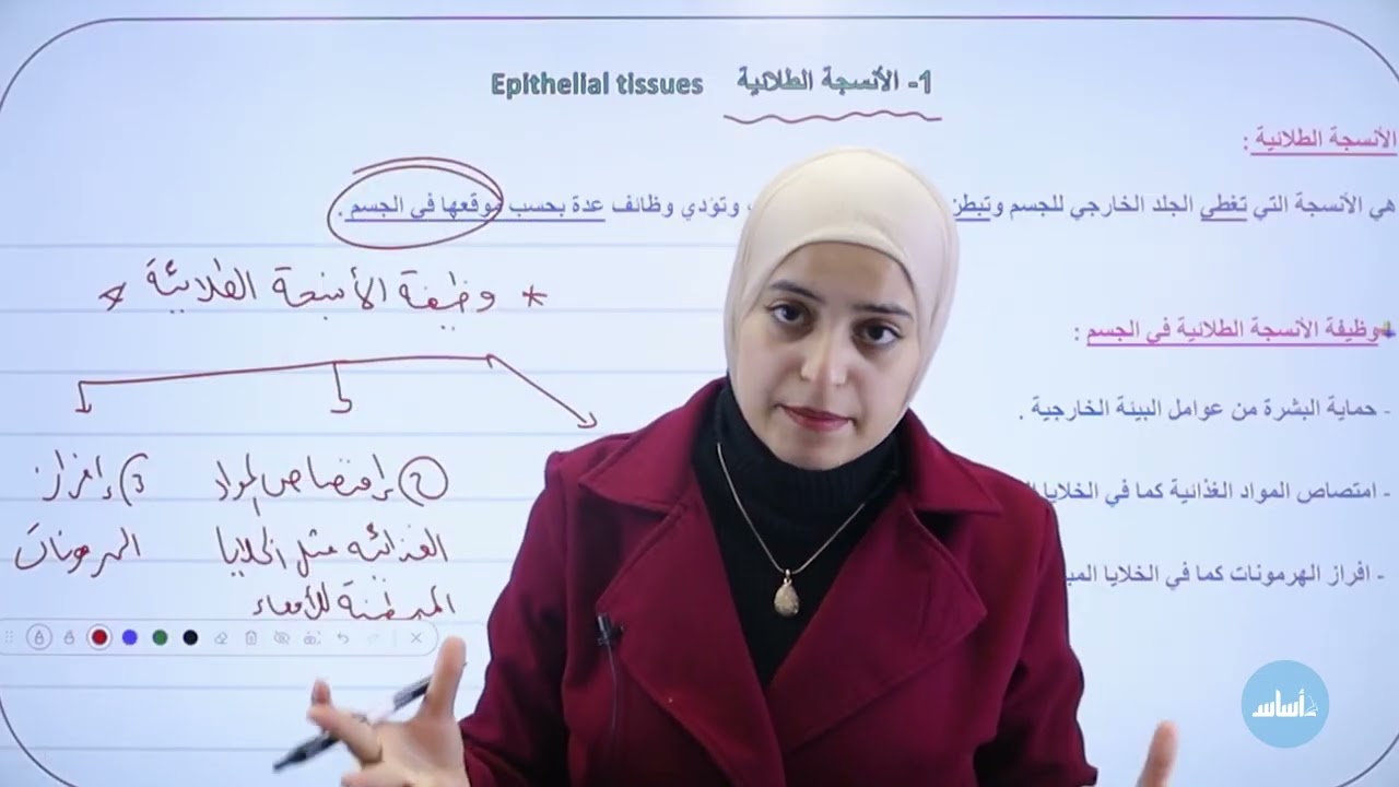 مراجعة اختبار الشهر الأول / الأنسجة الحيوانية 