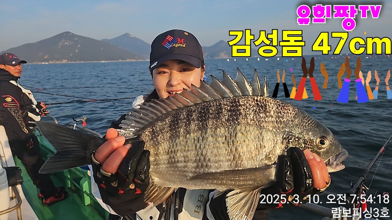 3박 4일 거제도 선상낚시 여정 #감성돔 #대부시리 #알부시리 #참돔