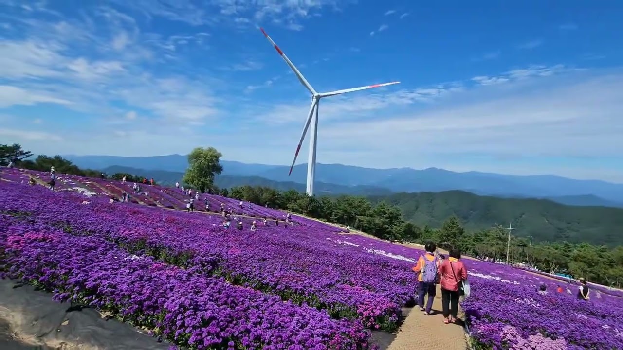 2026년 1월 11일