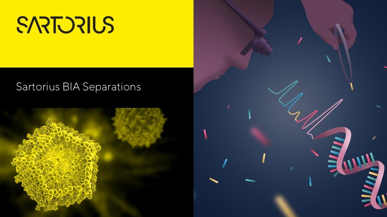 Scalable Strategies for pDNA, mRNA, and LNP Purification Supported by Rapid At-Line Analytics