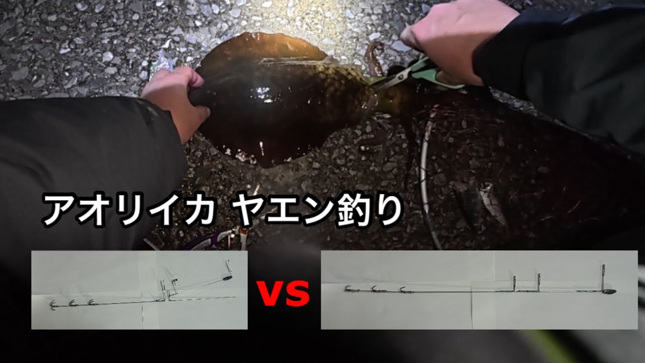 キャッチ率の高いヤエンは何？｜基本に戻したらキャッチ率約9割でした#アオリイカ釣り#ヤエン