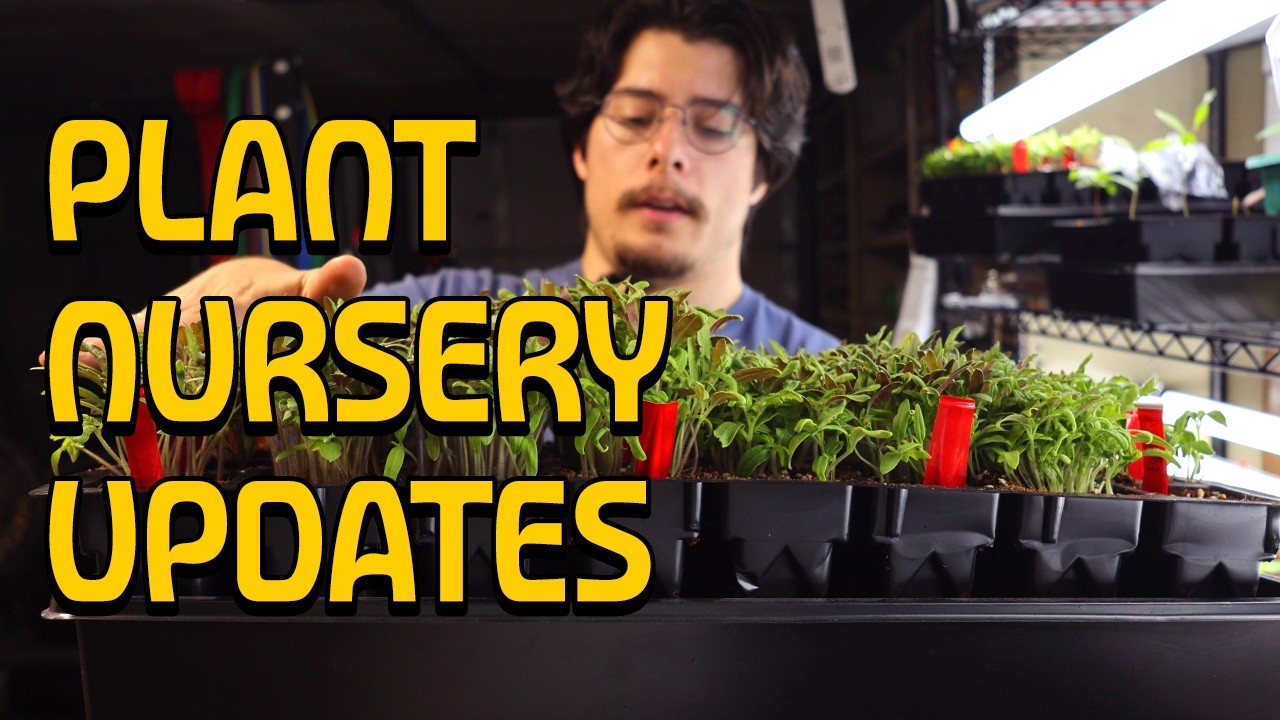 Plant Nursery Updates | Pepper Plant Imposters