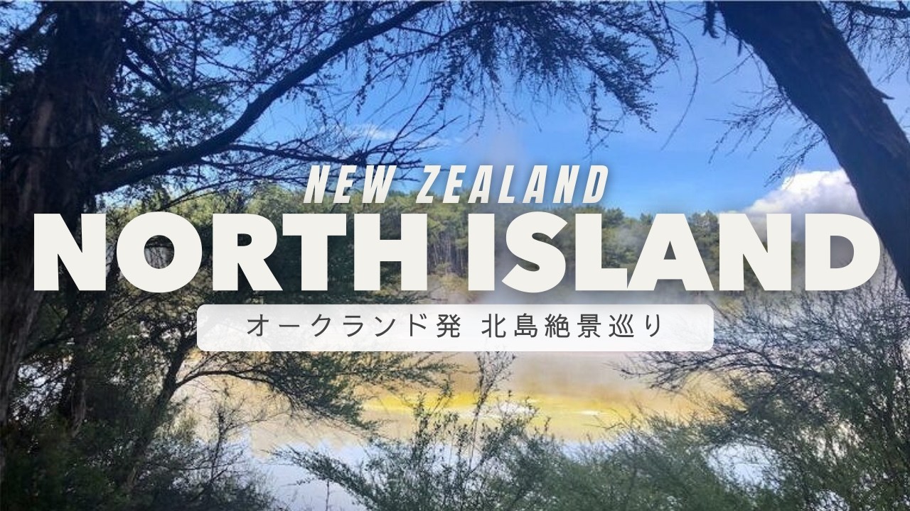 【VLOG】北島ロードトリップ｜ワイトモ〜ロトルアの絶景・温泉・巨木の森を巡る旅【NewZealand】