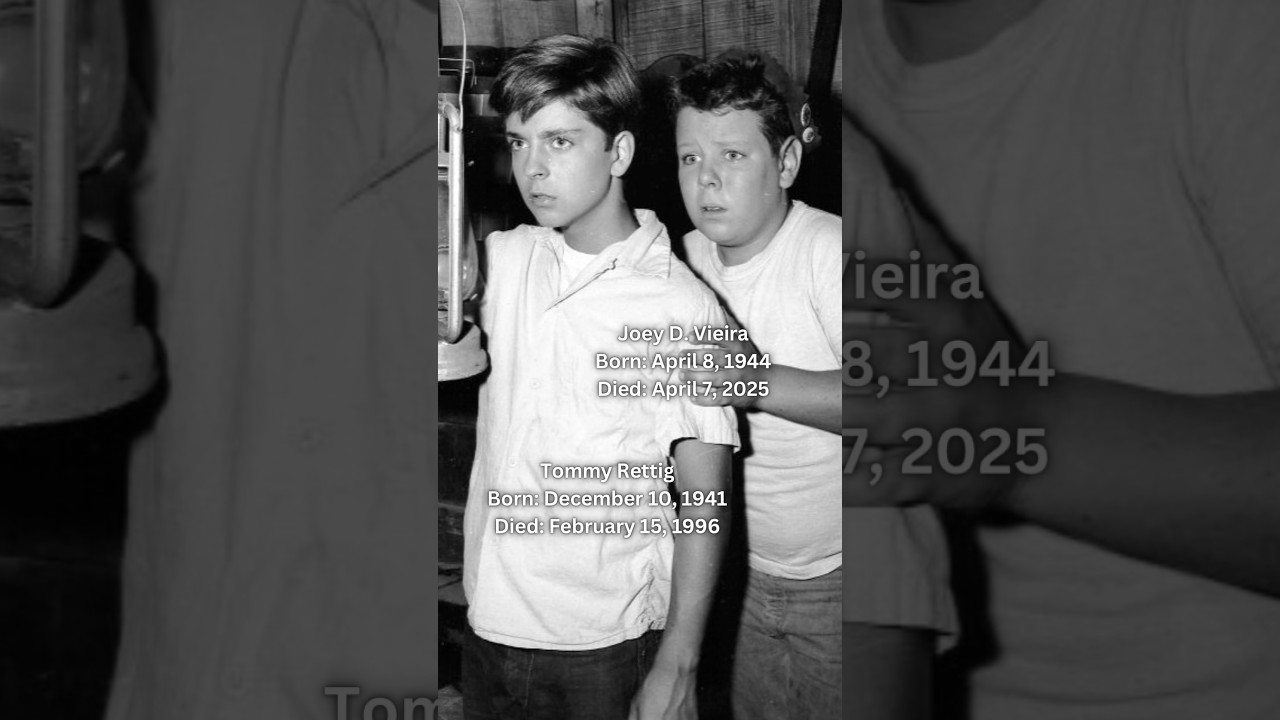 Joey D. Vieira & Tommy Rettig -A Look Back On TV Series &ldquo;Lassie&rdquo;🕊️#joey #tommy #fy #shorts #lassie