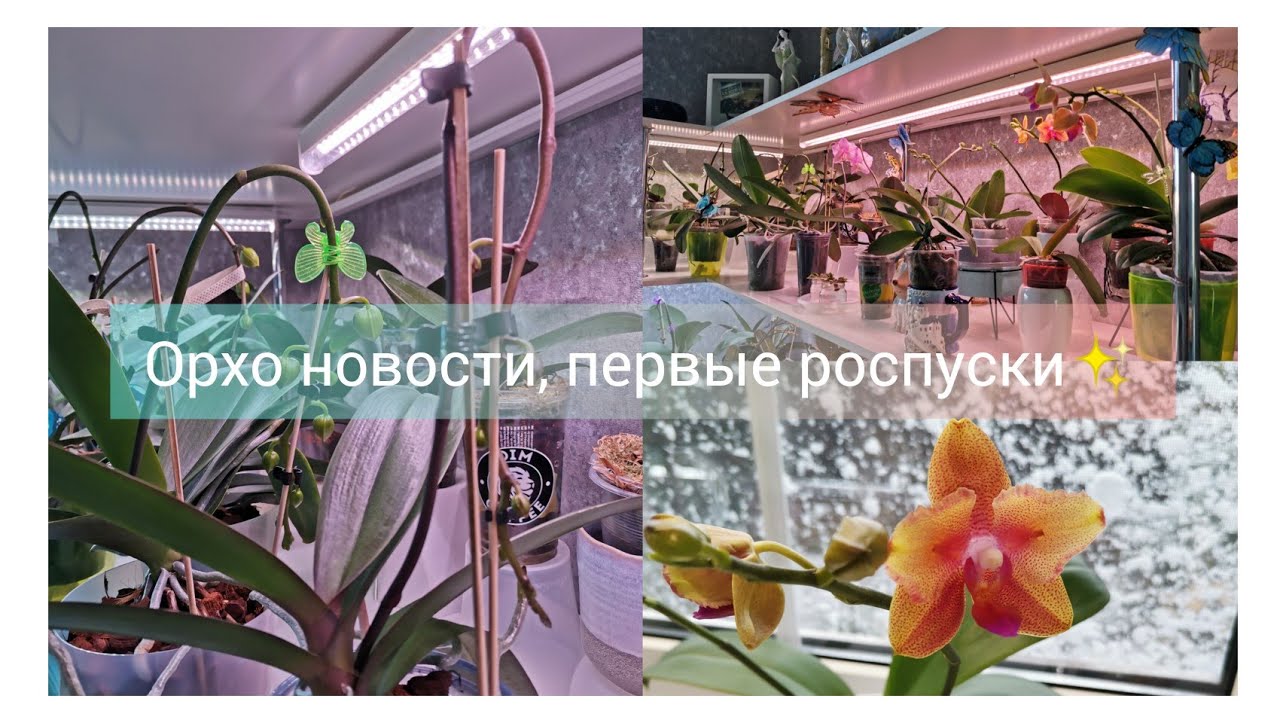 Обзор стеллажа. Сезон начала роспусков открыт🎉🎊. Часть 1.