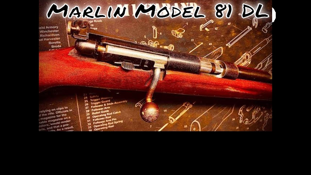 Marlin Model 81 DL