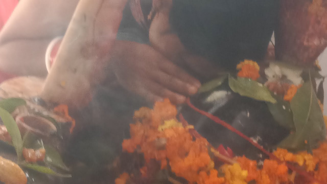 गुड मॉर्निंग 🌄 महादेव की कृपा बनी रहे 🌺 मेरे सभी यूट्यूब फैमिली पर#वायरल लाइव#virel live#livestreem#