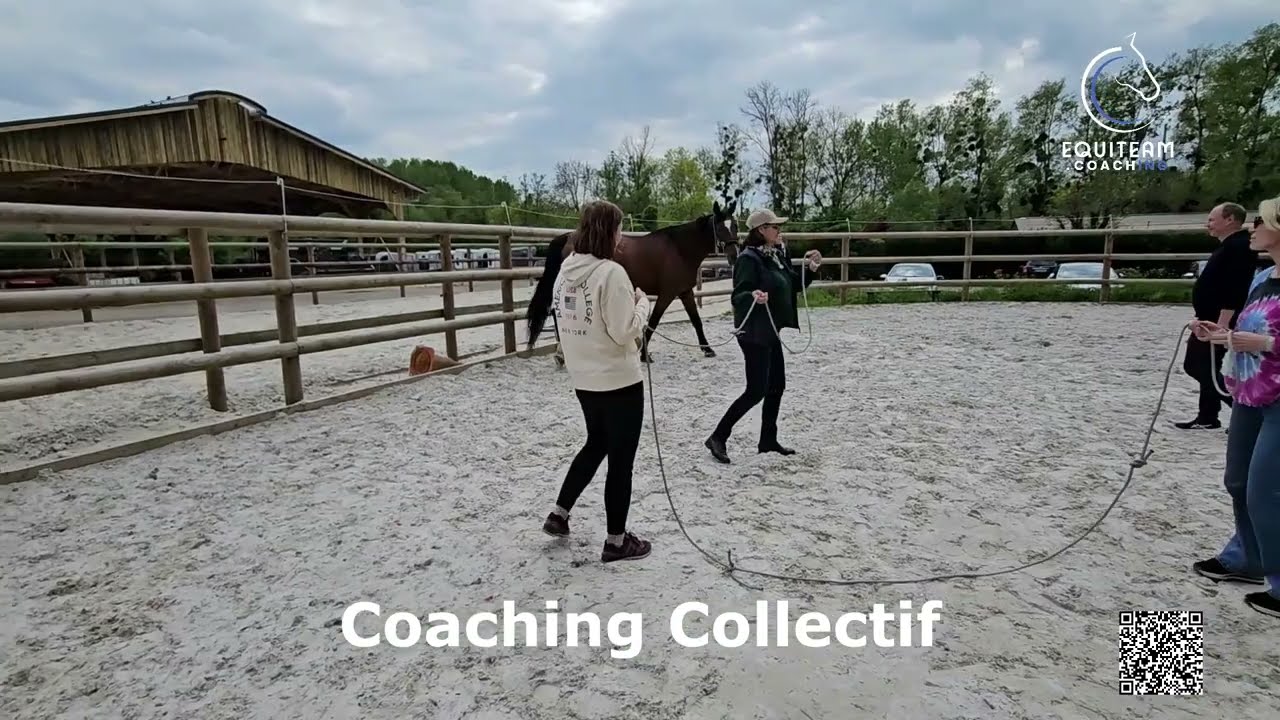 Equiteam Equi-Coaching Collectif / TeamBuilding