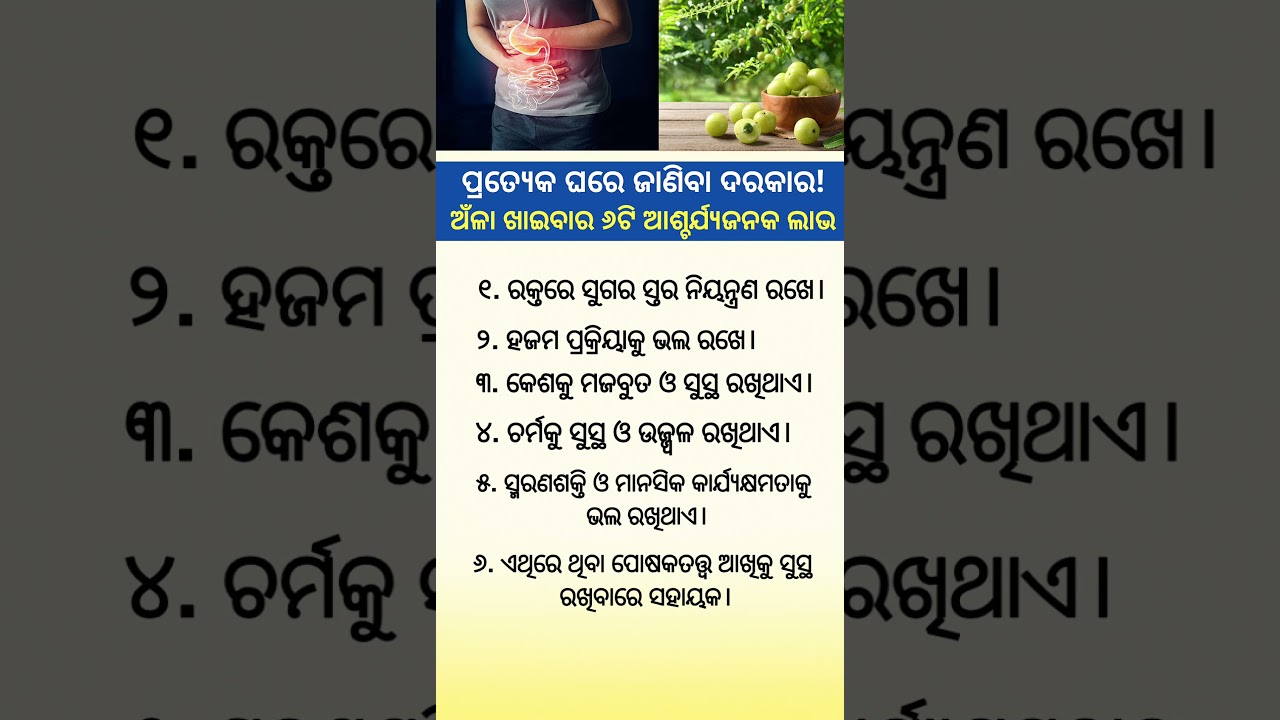 Odia Gk questions and answers || Odia Gk || Odia Quiz || Gk question #odiagk  #gk