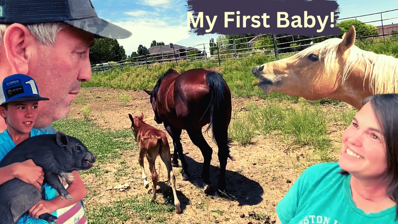 I DID NOT WANT THIS ON THE FARM