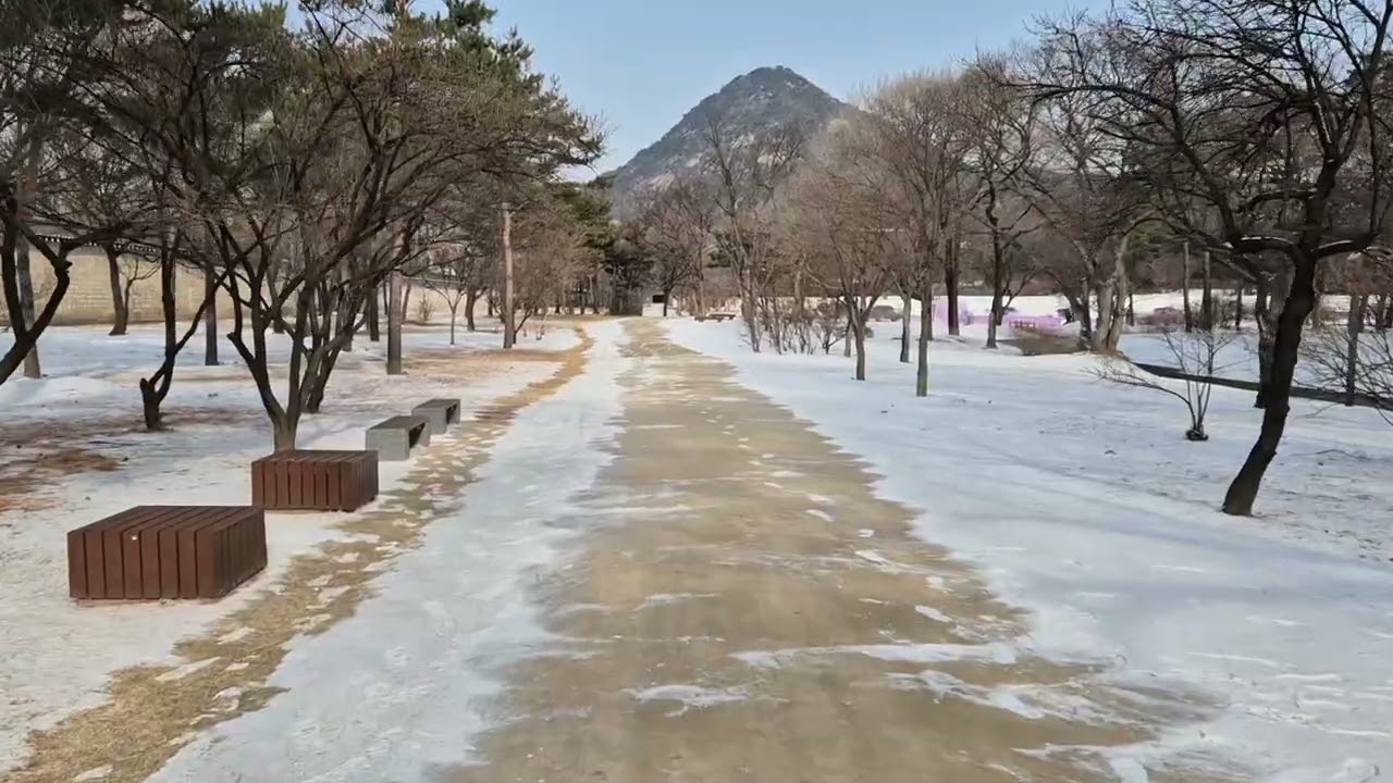 경복궁 산책#gyeongbokgungpalace#walk#seoul