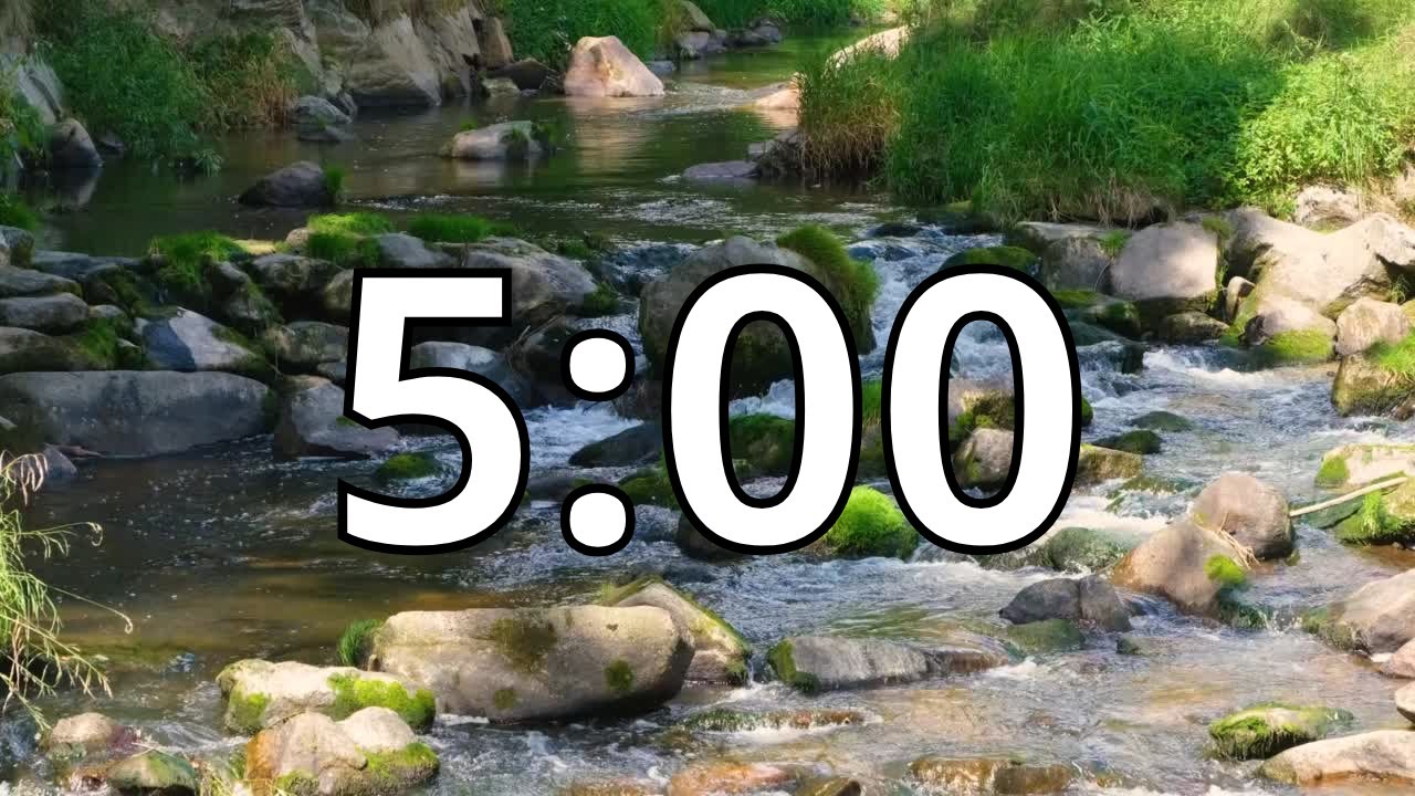 5 Minutes Timer with Relaxing Music | Forest | River Sounds