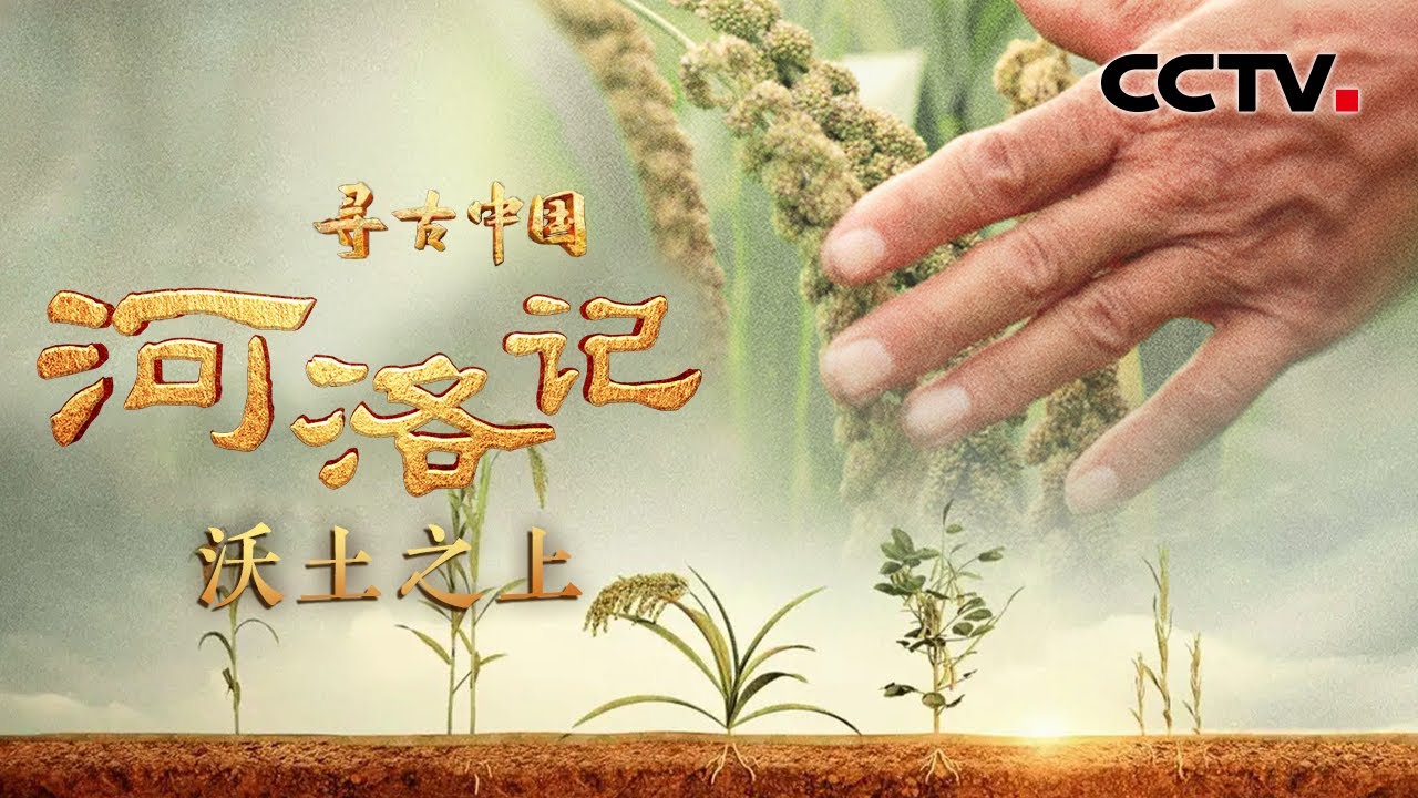 小米的祖先是狗尾巴草？还和江山社稷有关联？《河洛记·沃土之上》| CCTV「寻古中国」20231114