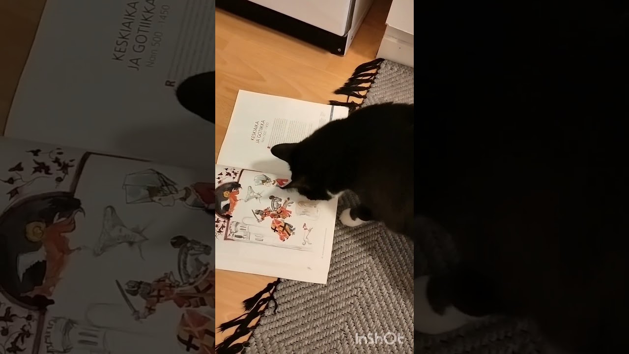 Viola cat reads book