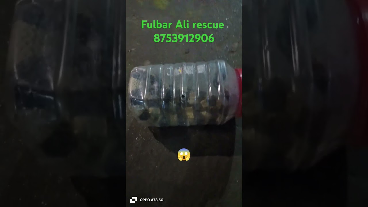 chirang district Kajolgaon rescue Fulbar Ali rescue 8753912906