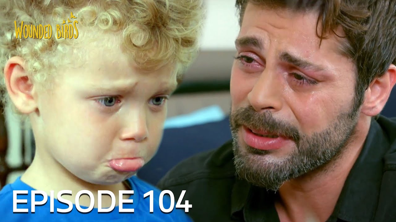 Wounded Birds | Episode 104