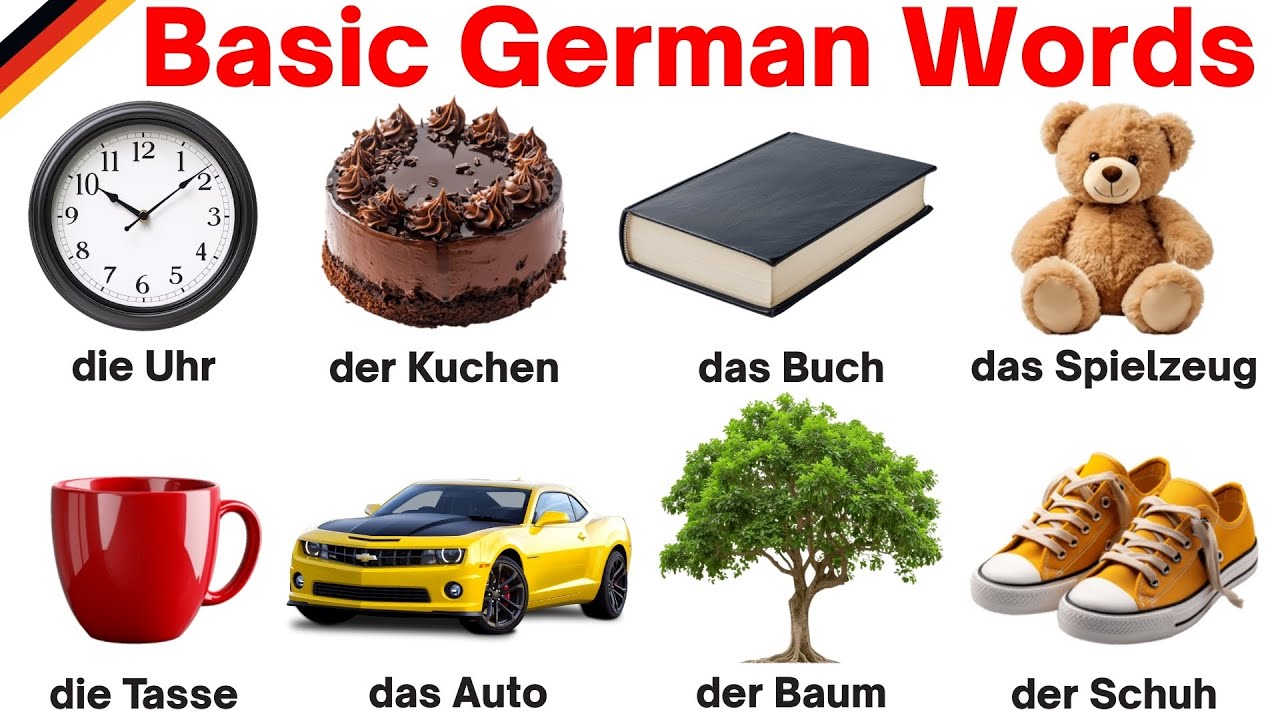Learn German | Basic German Words | Learn German Words for Beginners  | German Vocabulary