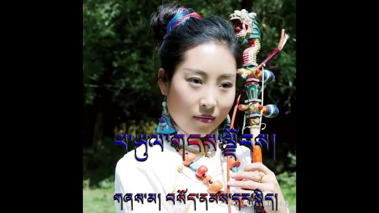 Tibetan Song 2017 Phayul Gangjong | Sonam Dharkyi ཕ་ཡུལ་གངས་ལྗོངས། བསོད་ནམས་དར་སྐྱིད།