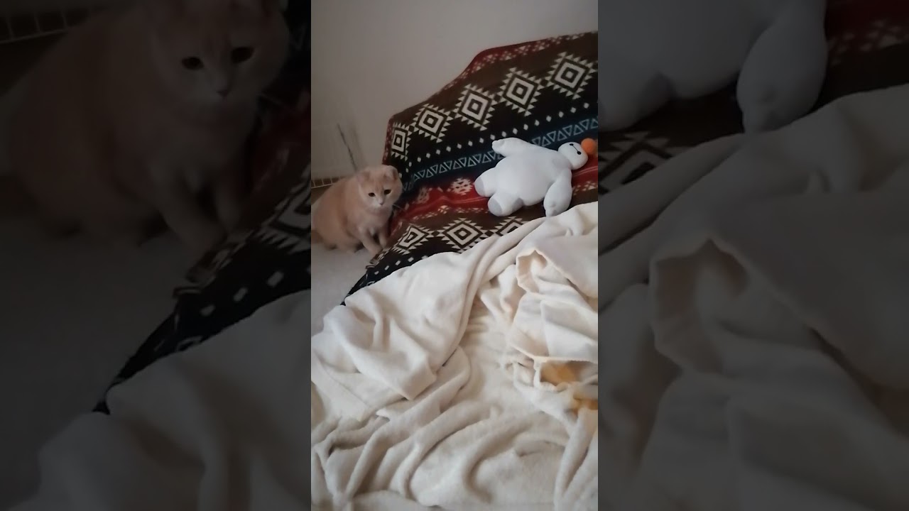 おもちゃで遊ぶ女子