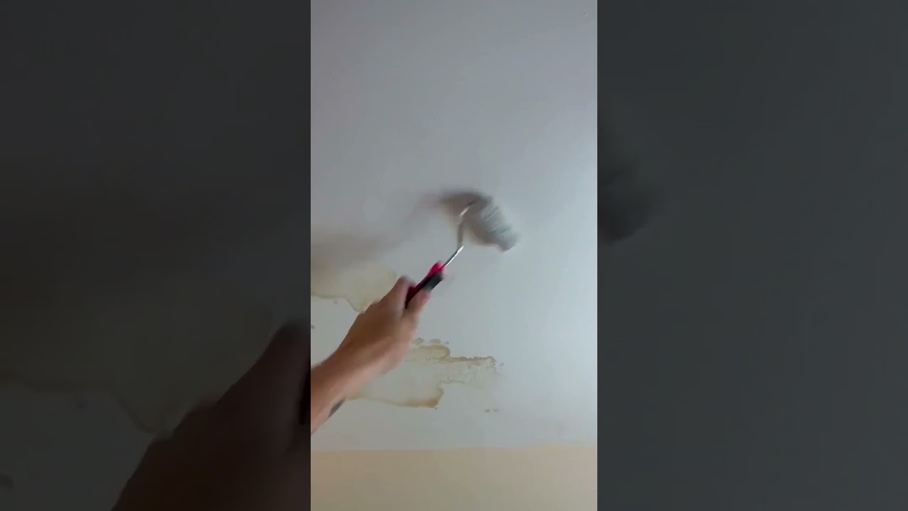 Top Tips - Damp stains? How to fix them! 🖌️