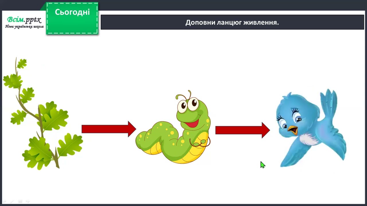Які ланцюги живлення існують у лісі, на луці та у водоймі?