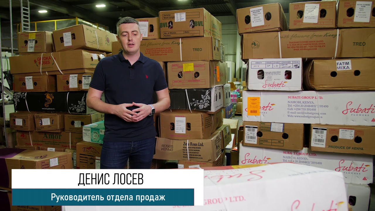 GFG | ЦВЕТЫ ОПТОМ. Роза пионовидная, микс, 40 см •Плантация Subati • Кения