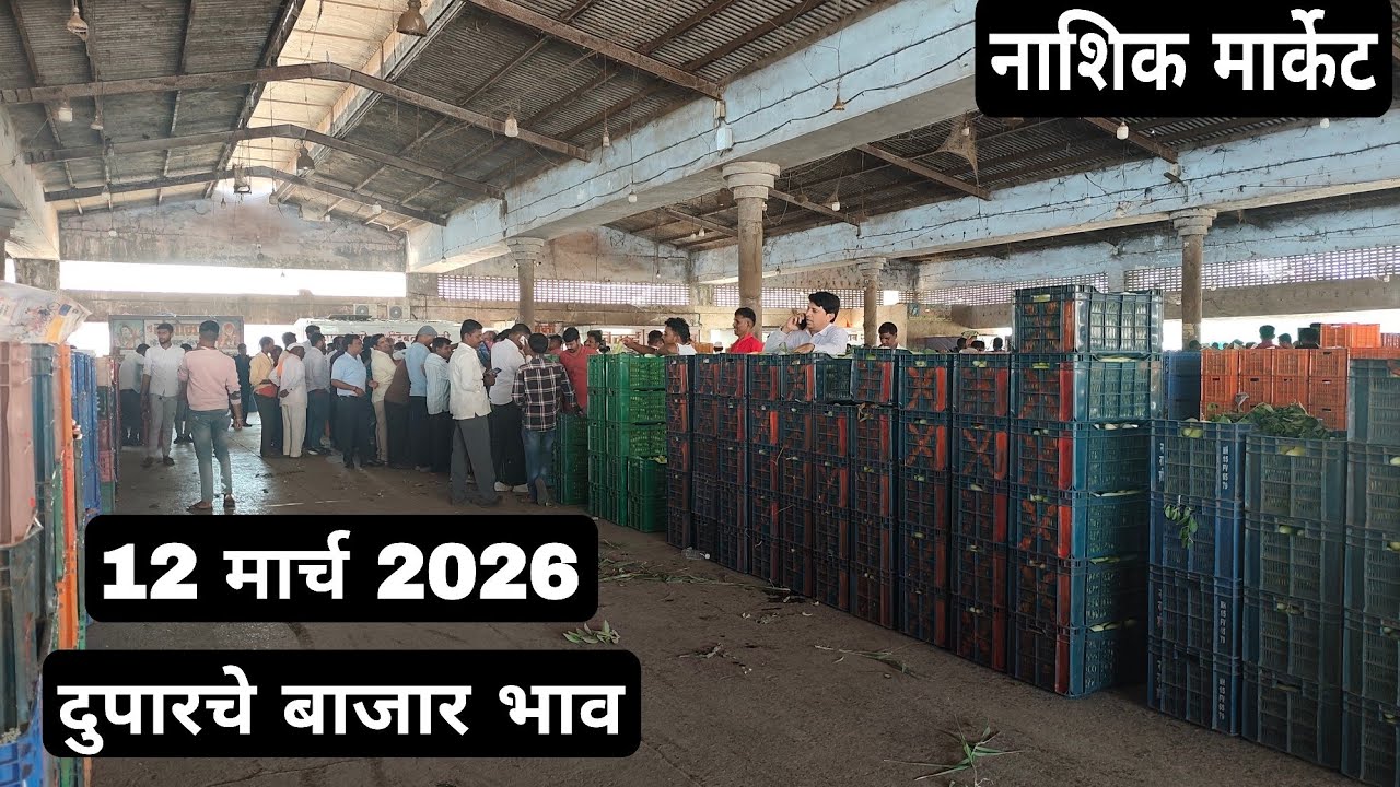 12 मार्च 2026| दुपारचे बाजार भाव नाशिक मार्केट | Vegetables  market nashik rate today 
