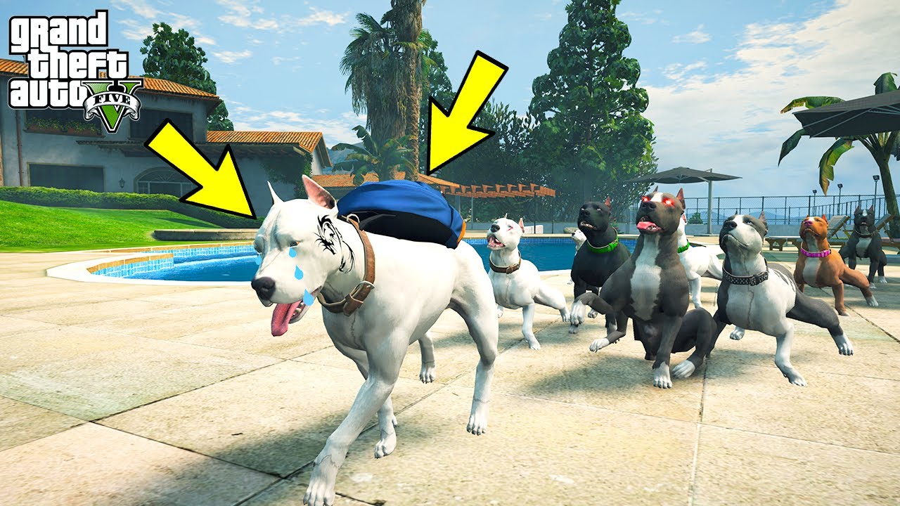 YAVRU PİTBULL ABİSİ EJDER DÖVMELİ MİKE'I AİLEDEN ATIYOR! - GTA 5