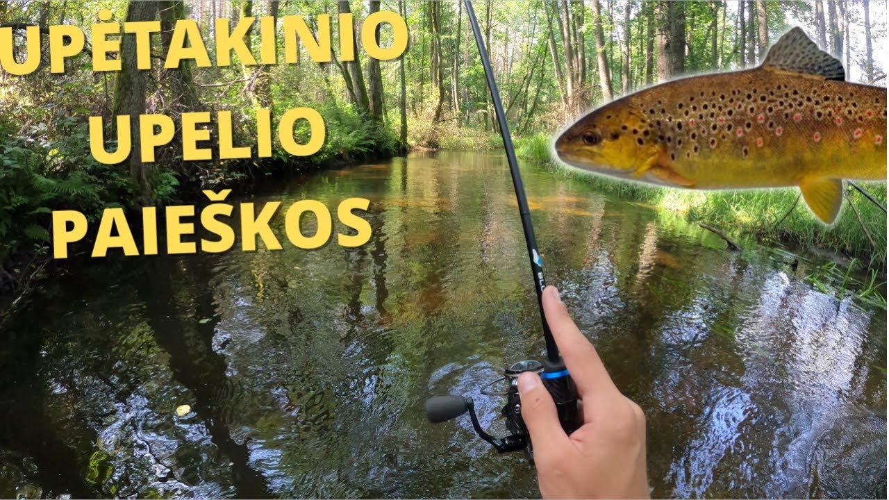 Naujo upėtakinio upelio paieškos
