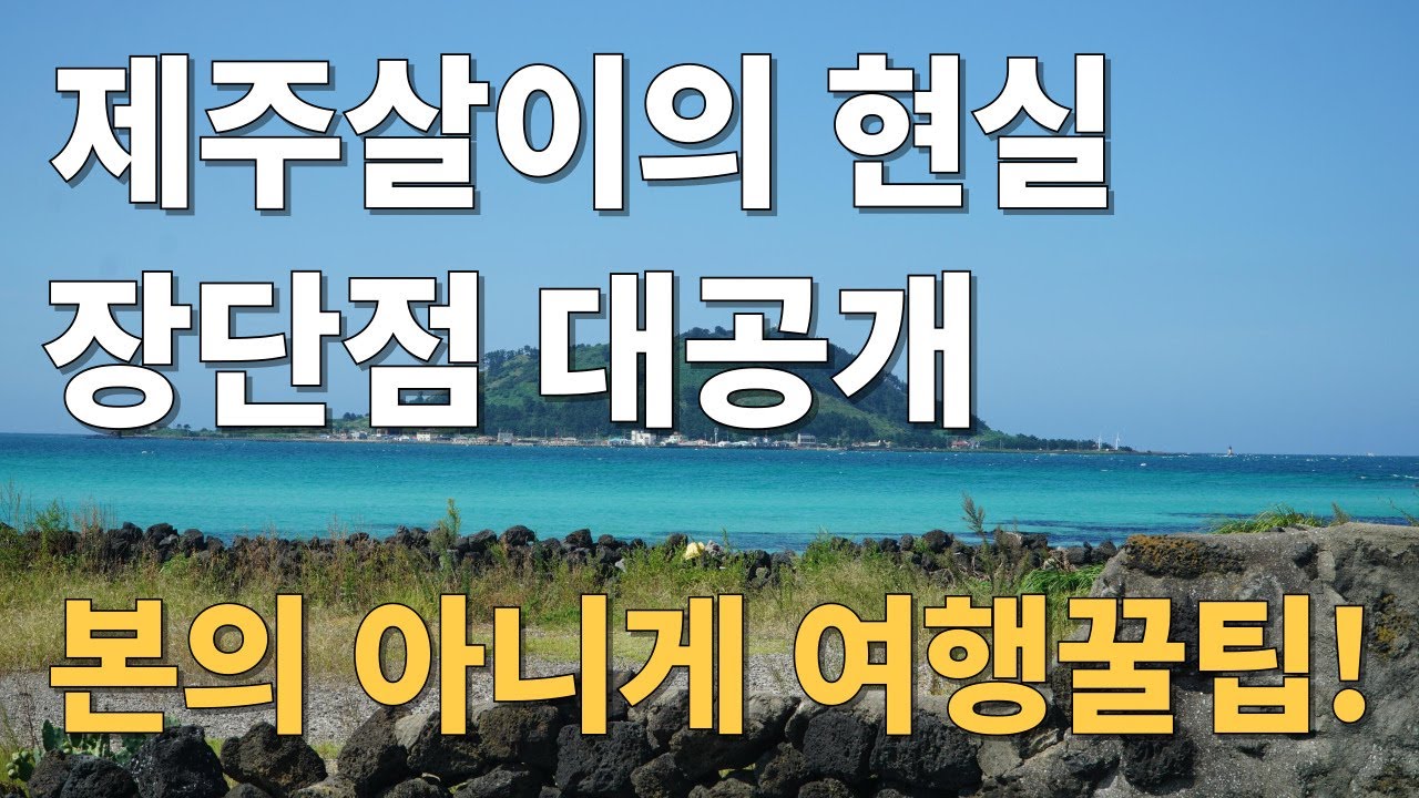 제주살이의 현실, 장단점 대공개/본의아니게 여행꿀팁 포함/웰컴투제주/제주한달살기 열풍이 지난 이후 영상/제주도민이 말하는 제주의 이모저모고모