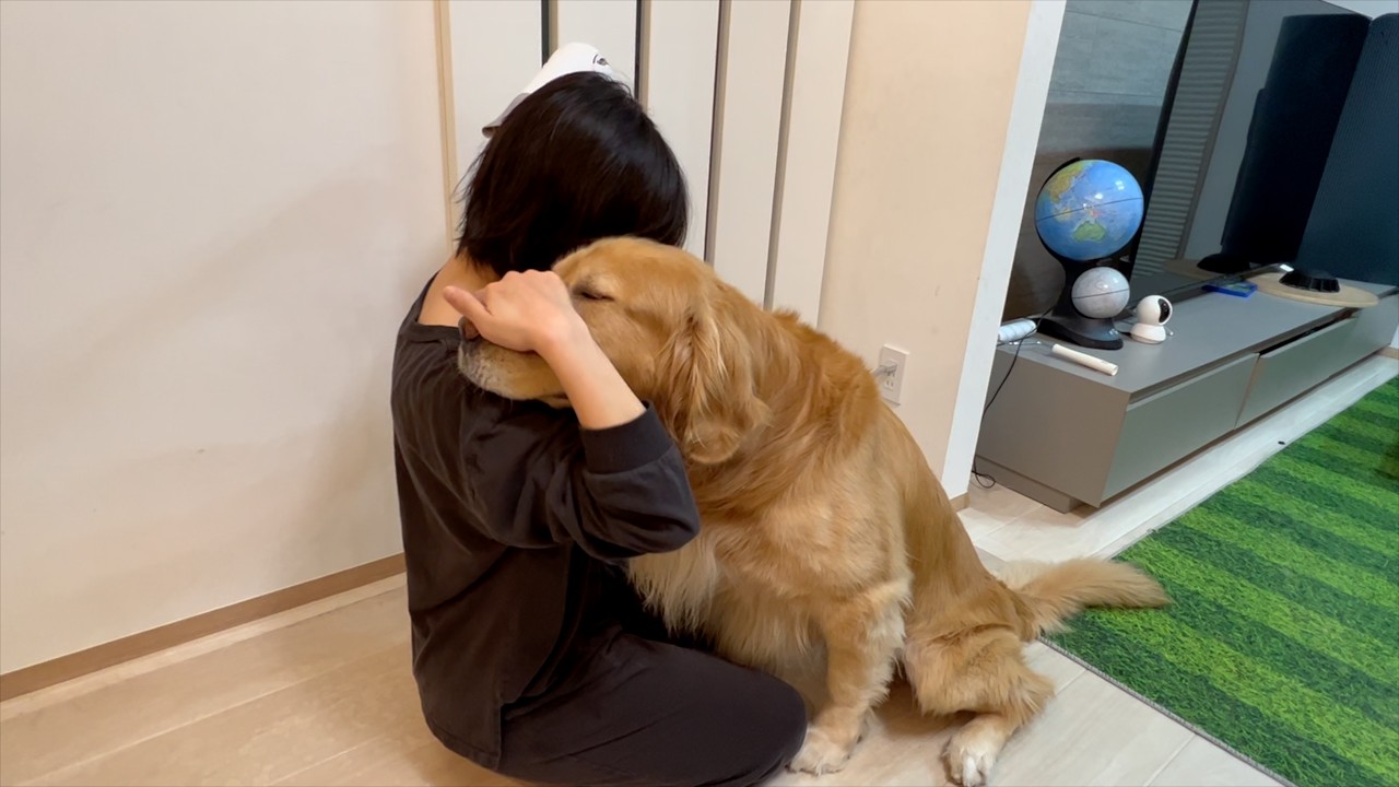 常にそばにいて、ママが本当に元気になったか様子を見守る愛犬が優しい。。