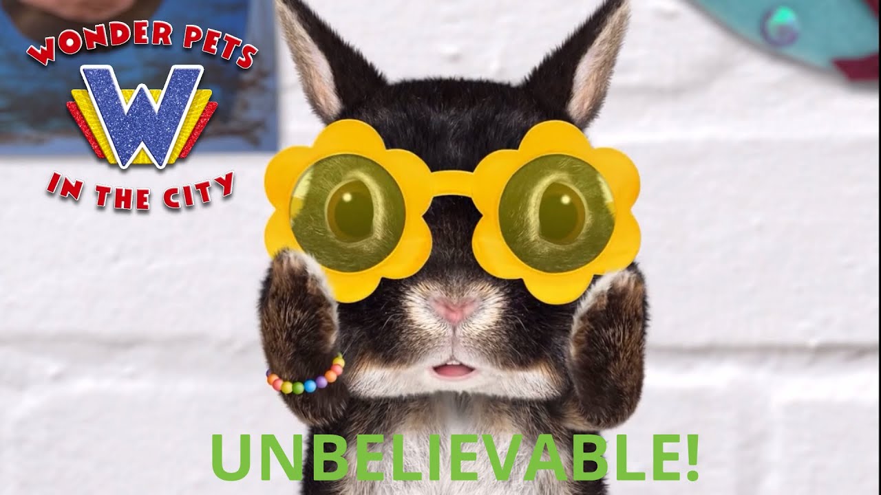 Every time Zuri and other people said “Unbelievable!” Compilation