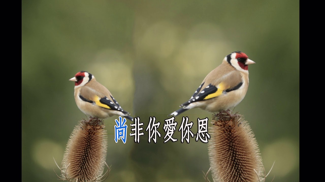 哦主耶穌，每想到你