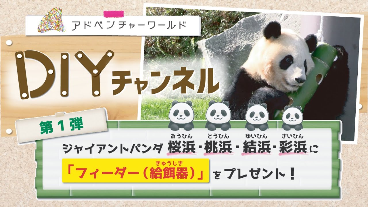 アドベンチャーワールド DIYチャンネル ～パンダ姉妹4頭に『フィーダー(給餌器)』をプレゼントしてみた！～