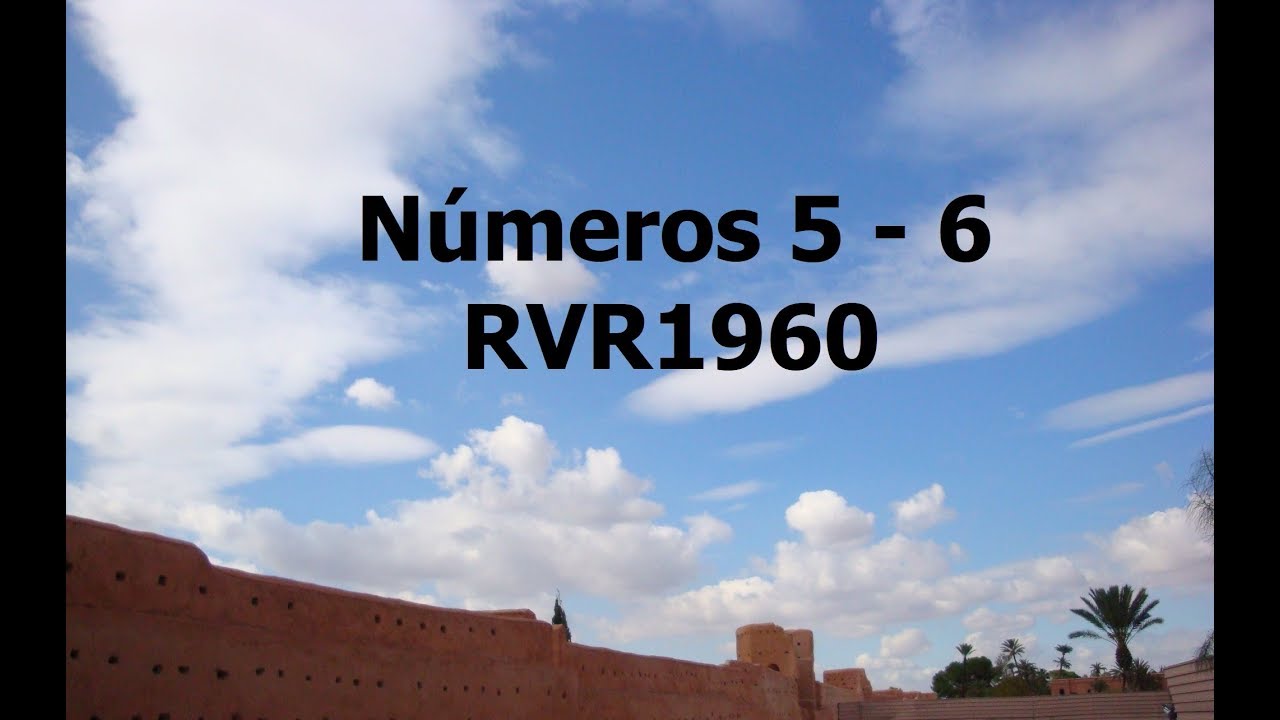 La Biblia hablada/Números 5 - 6