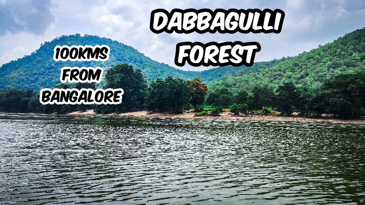 Dabbaguli Forest Trails | Tamil Nadu Border | Unexplored | Part-1| Exploring The Weekend