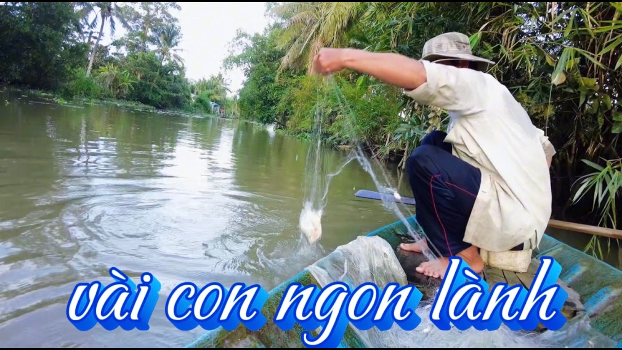 Giăng Lưới Cá Trên Sông Lúc Nước Ròng – Dính Vài Con Ngon Lành