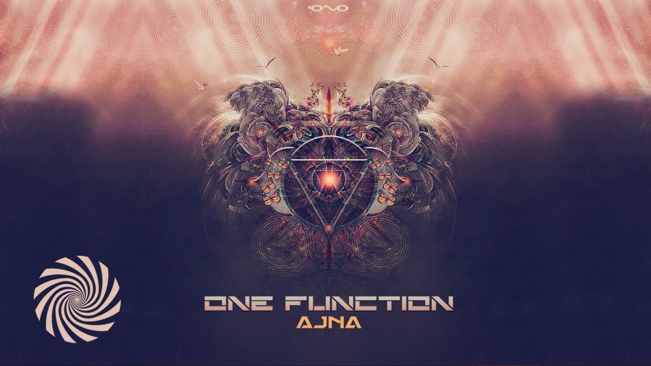 One Function - Young Man on Acid